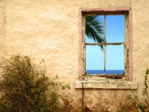 Window